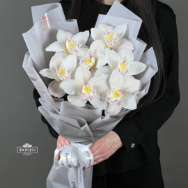 7 White Orchids