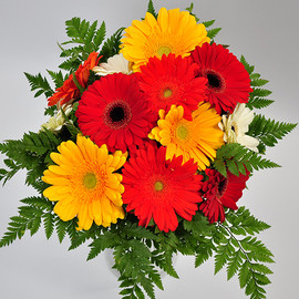 Bouquet of Gerberas