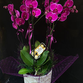 Purple Orchids Garden and Ferrero Rocher