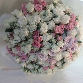 51 Кустовая Роза