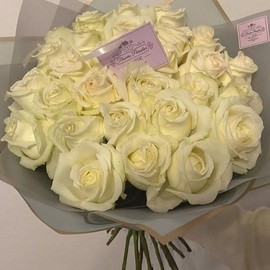 29 White Roses