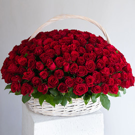 Basket of 251 Ruby Roses