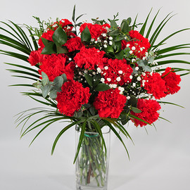 Bouquet of Red Carnations