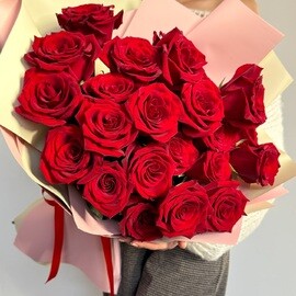 25 Roses 70 cm Ecuadorian Red