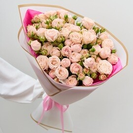 11 Роз 70 см Французские Кустовые Кремовые