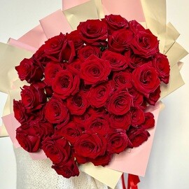 51 Эквадорская Красная Роза 50 см