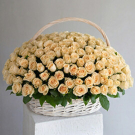 Basket 251 Cream Roses