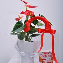 Anthurium and Raffaello in a Charming Handbag