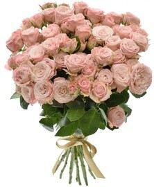 25 pink spray roses