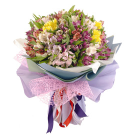 Альстромерия Медли