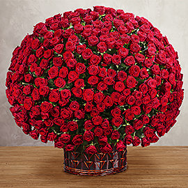 Корзина 501 Красная Роза