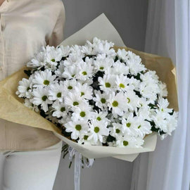 Delicate Chrysanthemums