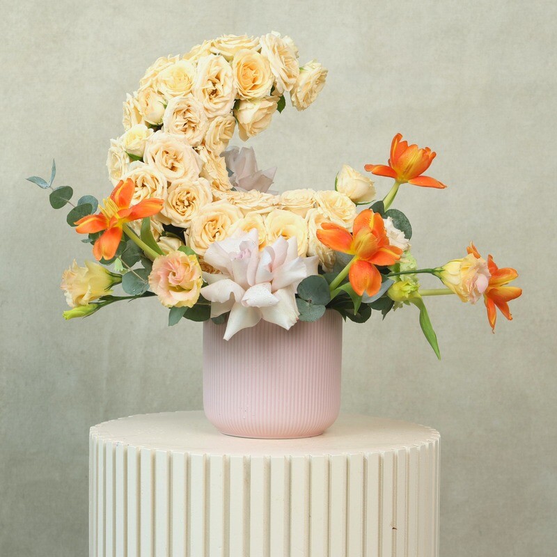 Свет Души, стандартный