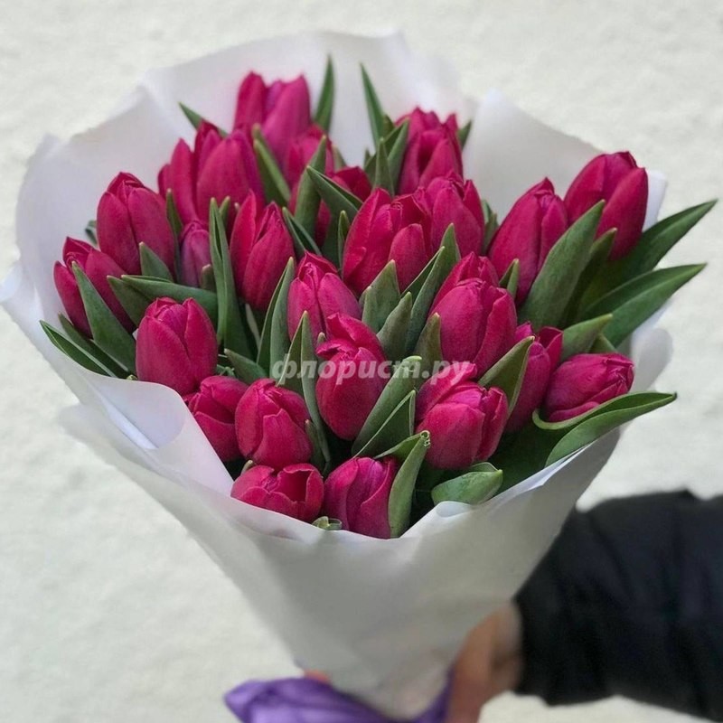 29 Tulips, standard