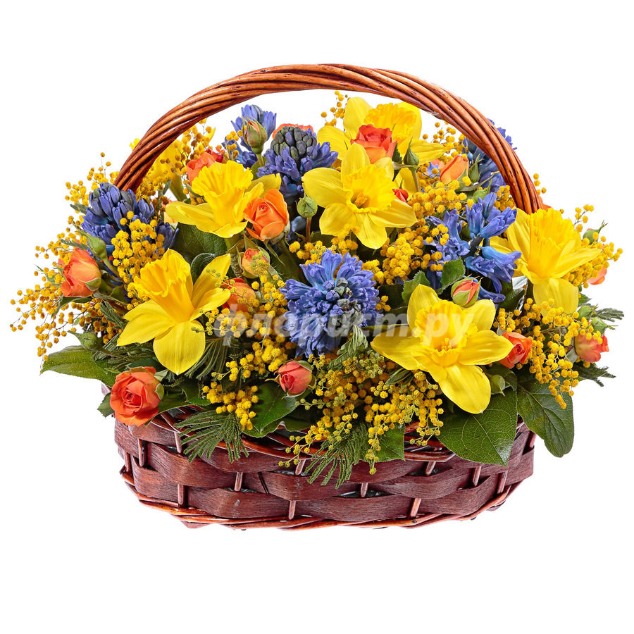 https://storage.florist.ru/f/get/content/bouquet/02/96/_43153e9b194ae292555b0ed3a1c6/900x900/58fa21ceaa7a3.jpg