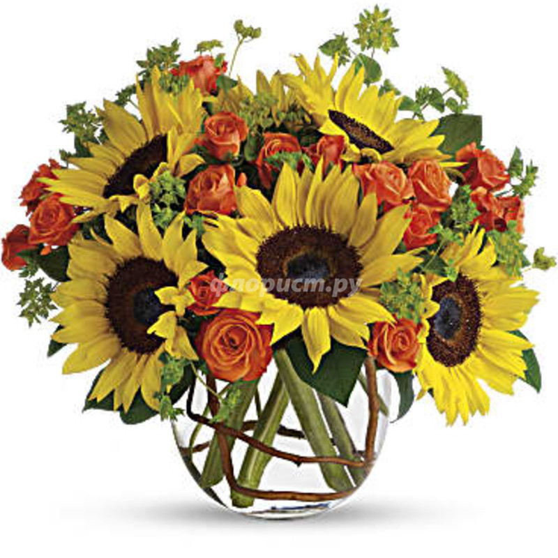 Sunny Sunflowers, deluxe