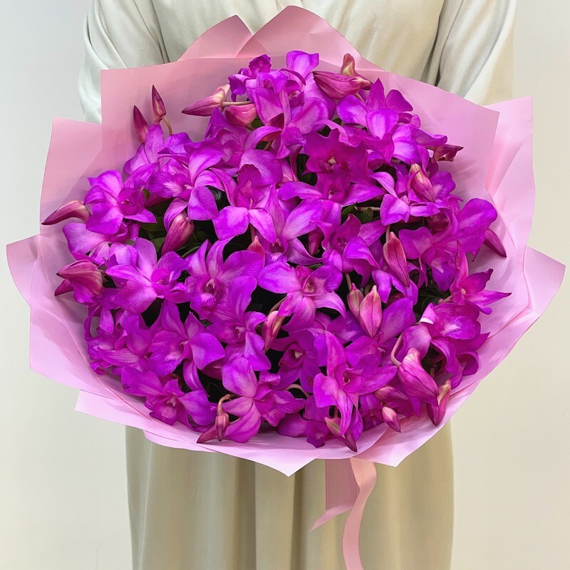 Pink Butterfly Orchids, standard