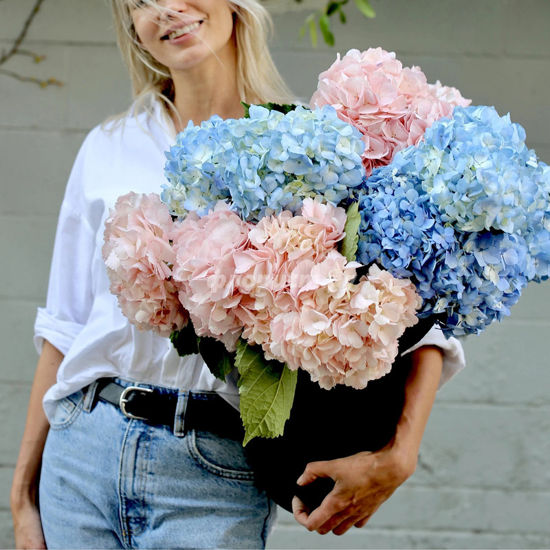 Pink and Blue Hydrangea Bouquet, standard
