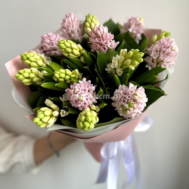 Bouquet of Hyacinths, standard