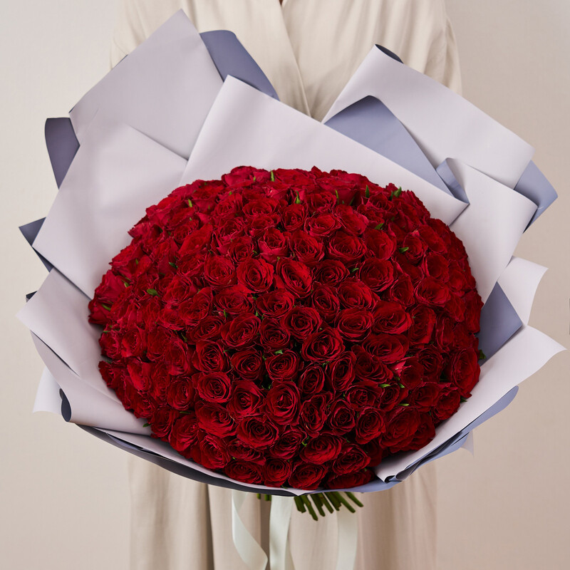 A bunch of "151 roses" red Kenya, 151 stems