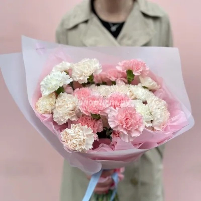 Delicate Carnations, standard