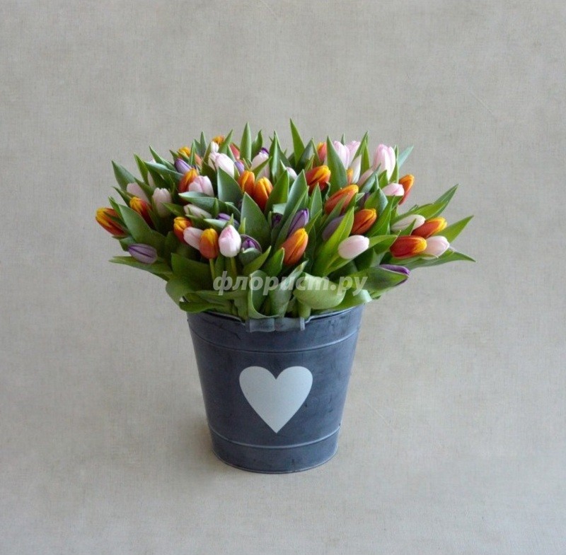 Bucket of Tulips, deluxe