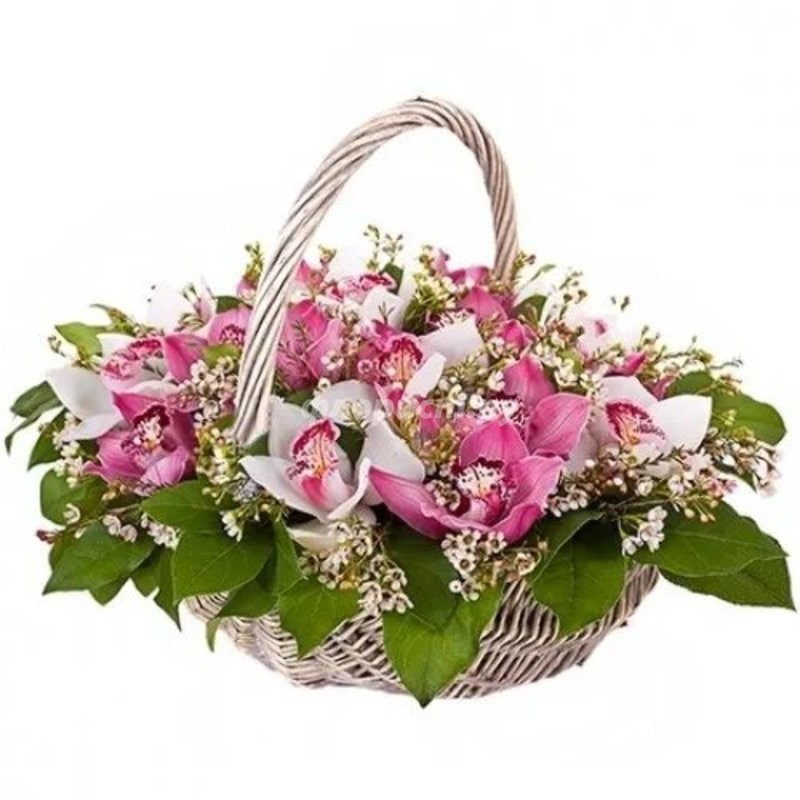 Basket of Orchids, standard