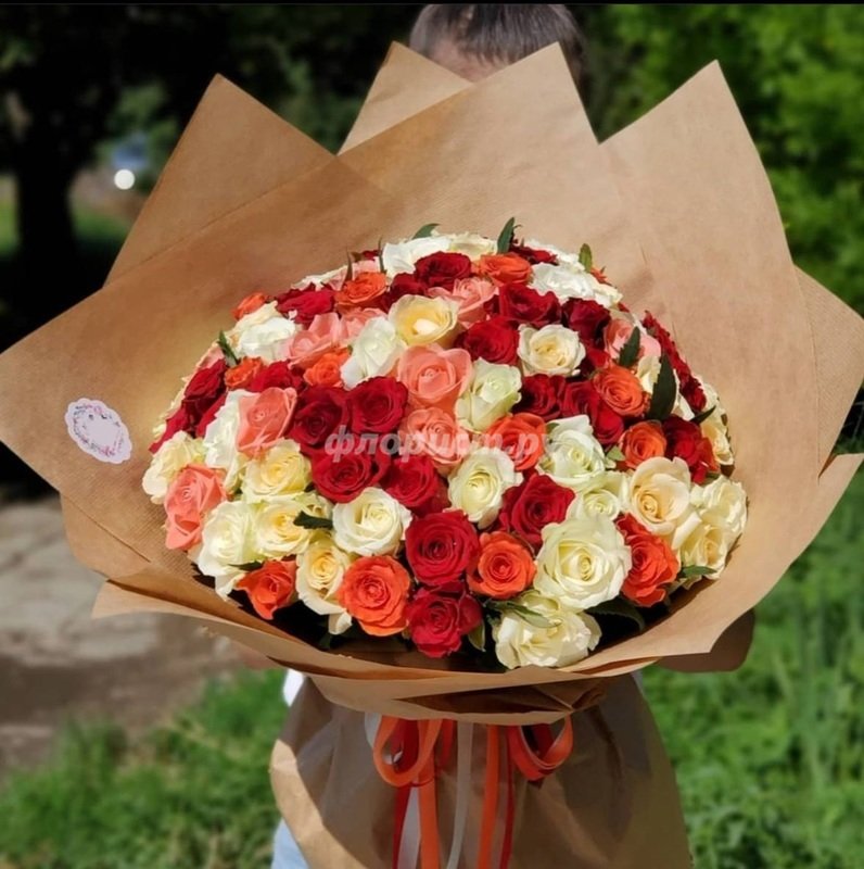 101 Multicolored Roses, standard
