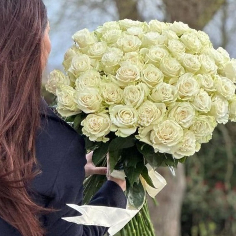 30 White Roses, стандартный