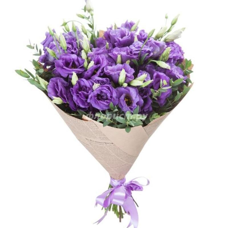 25 Purple Lysianthus, standard
