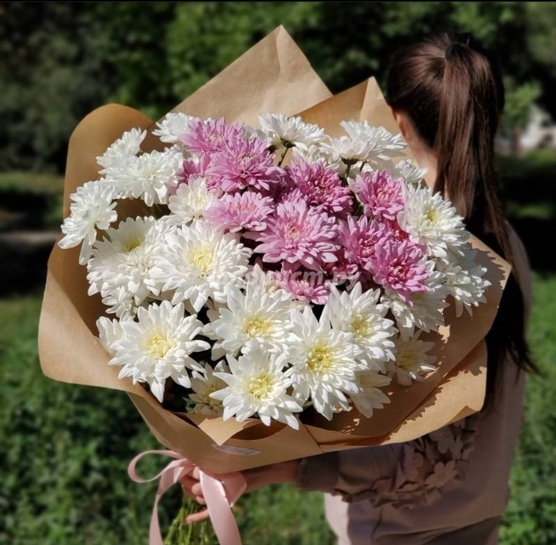 White And Pink Chrysanthemums, standard