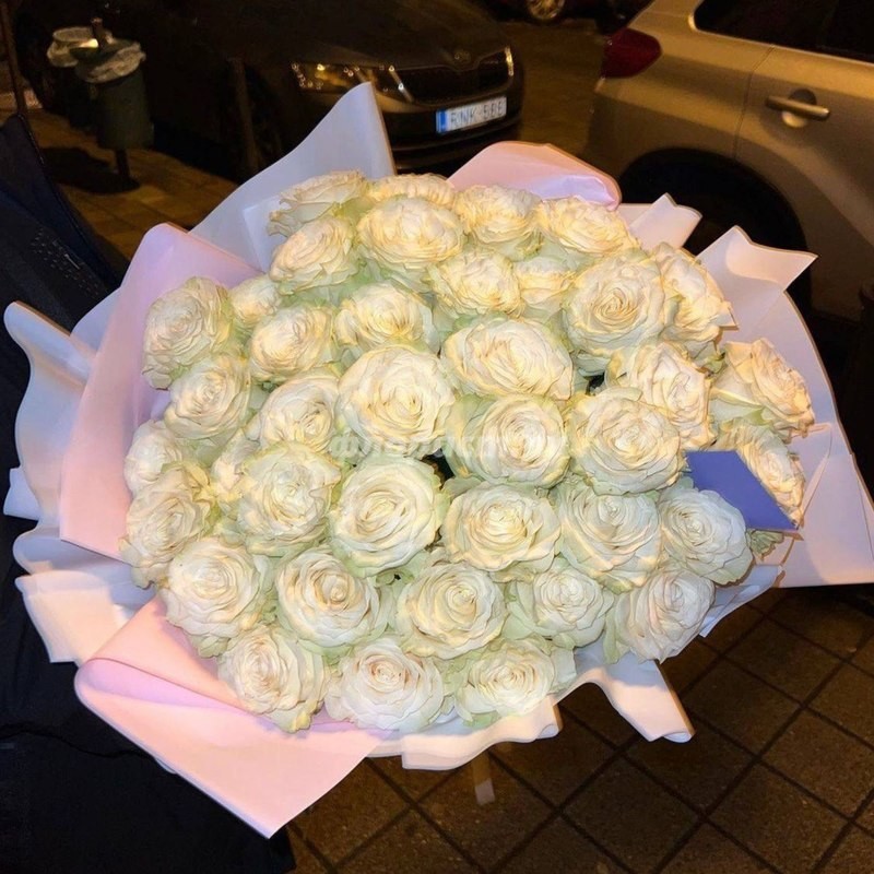 51 White Roses, standard
