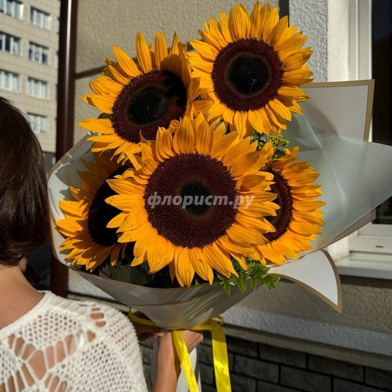 Giant Sunflowers, 5 sht.