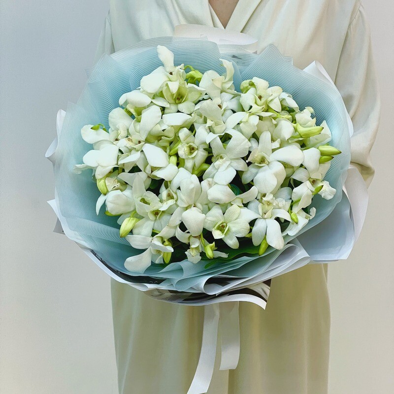 White Butterfly Orchids, standard