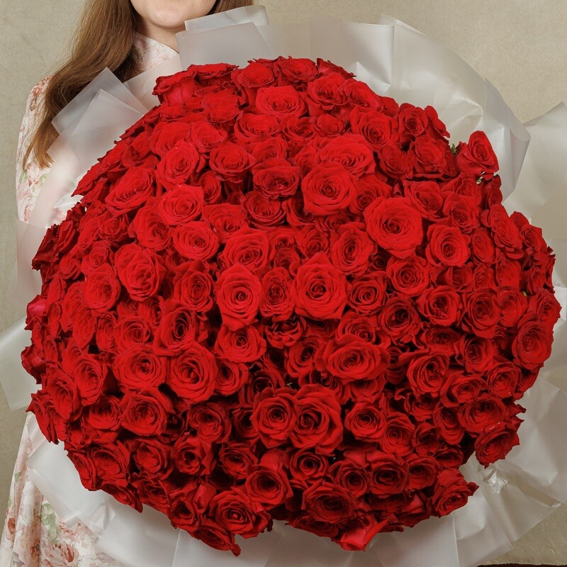 301 Red Rose, 301 roza
