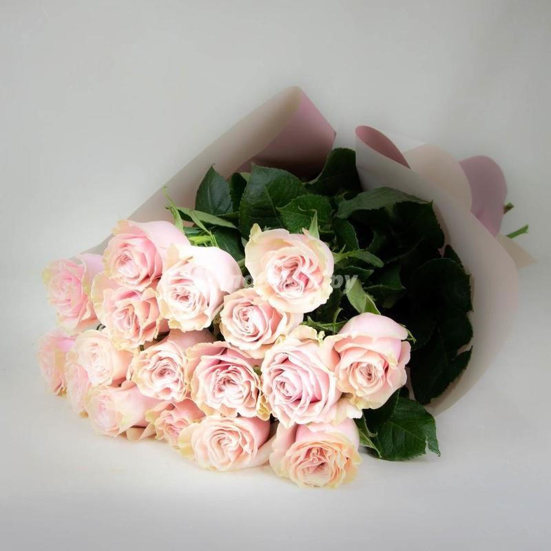 Pink Roses Monobouquet, standard