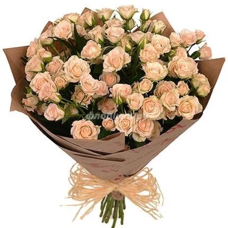 Bouquet of 25 Rosebushes, standard