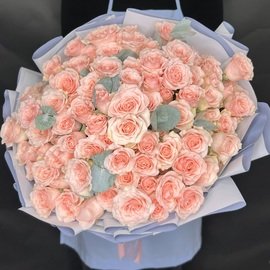 Розовые Кустовые Розы