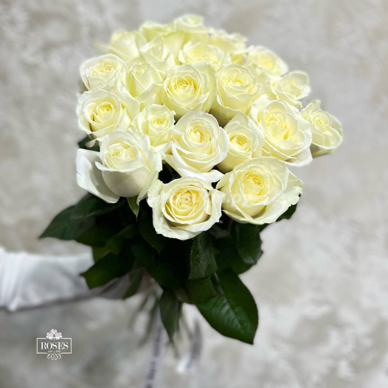 19 White Roses, standard