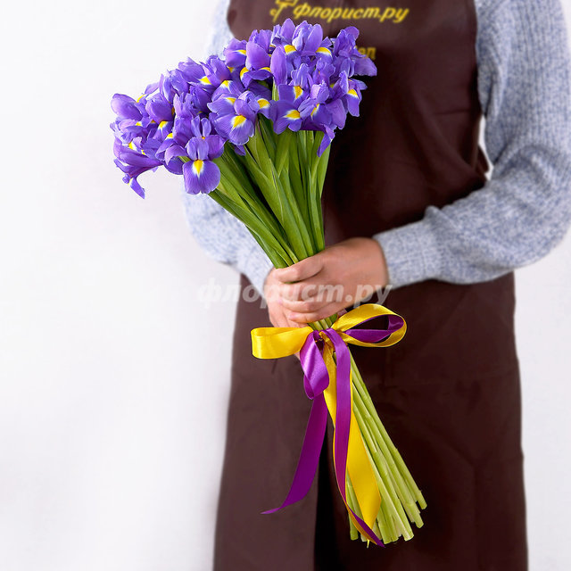 Bouquet of Irises, standard