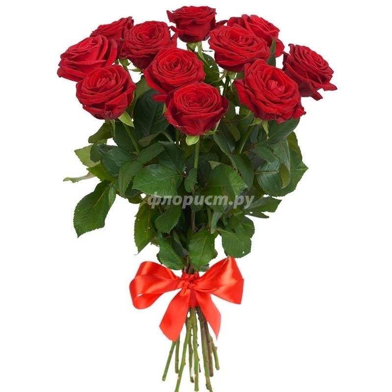 7 Red Roses 80 cm, standard