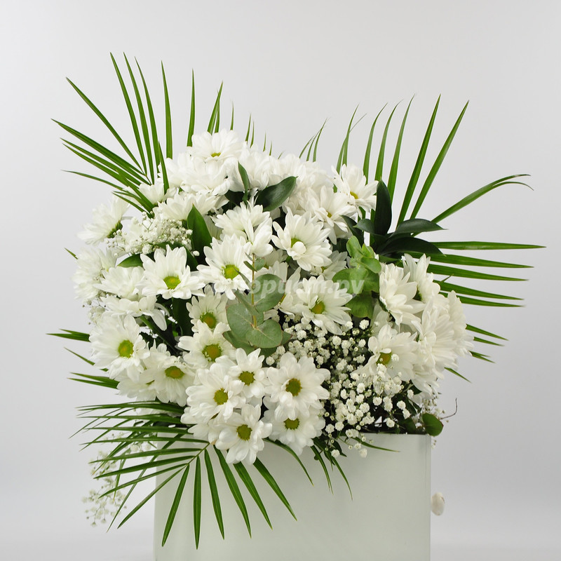 Bouquet of Daisies, standard