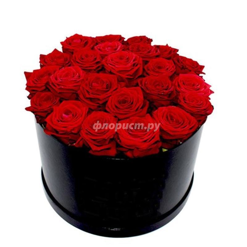 23 Red Roses in a Box, standard