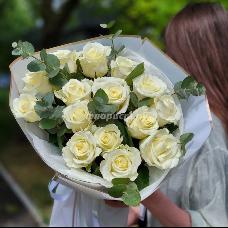 White Roses With Eucalyptus, standard