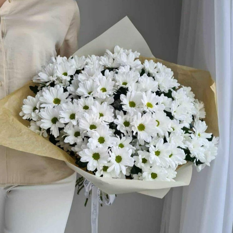 Delicate Chrysanthemums, standard