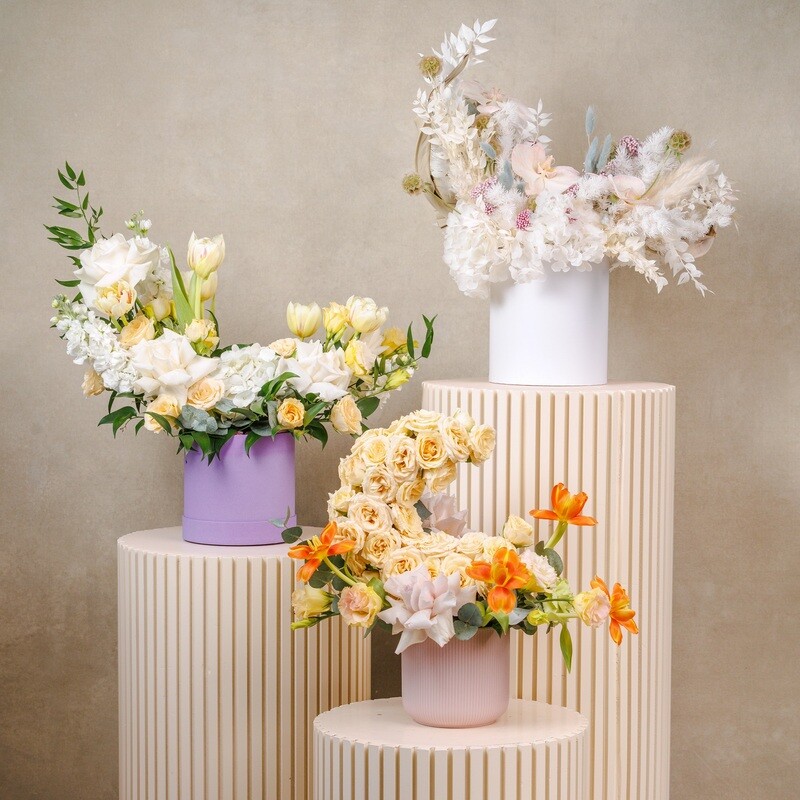 Heartfelt congratulations, standard