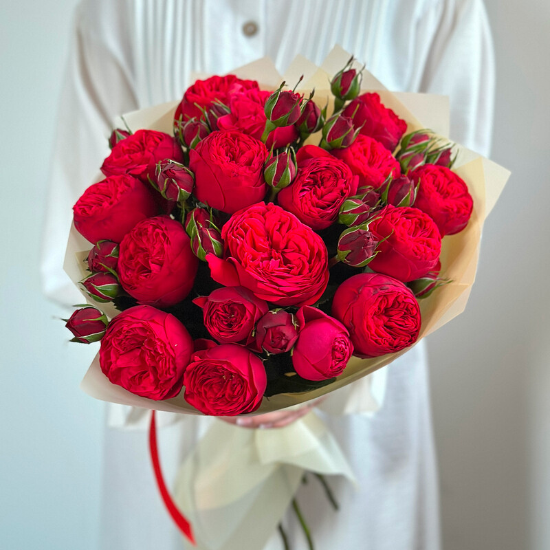 15 Peony Bush Red Roses 80 sm, 15 stems