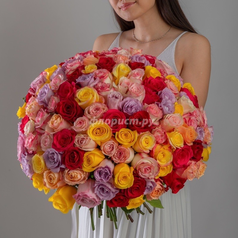 151 Multicolored Rose, standard