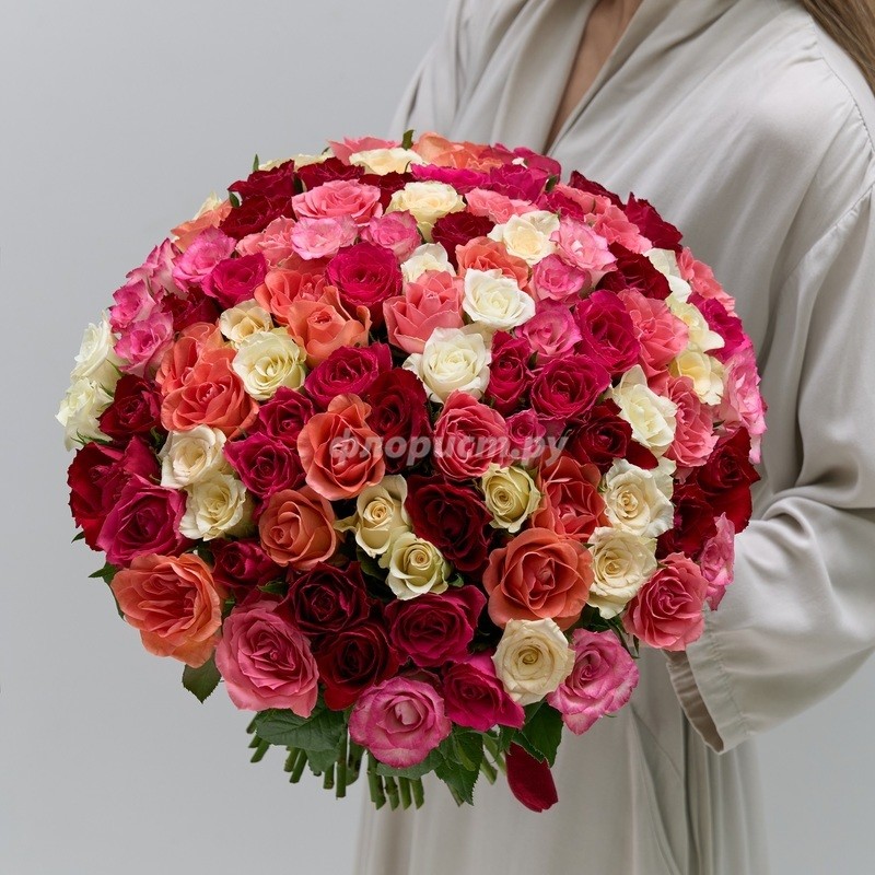 101 Colorful Rose, 101 stems