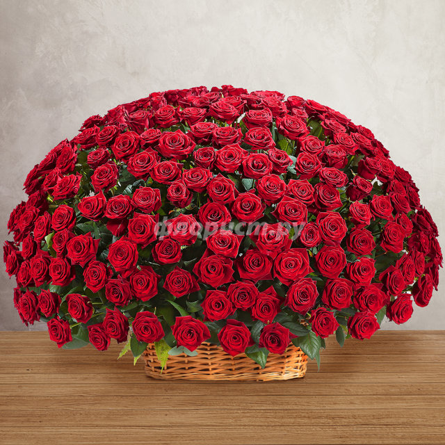 Корзина 251 Красная Роза, 251 роза